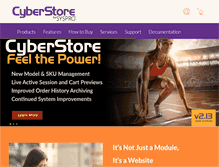 Tablet Screenshot of cyberstoreforsyspro.com